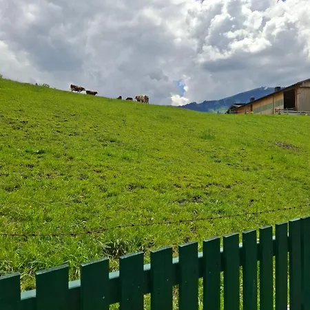 Lägenhet Sonnenheim