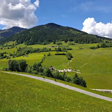 Sonnenheim *