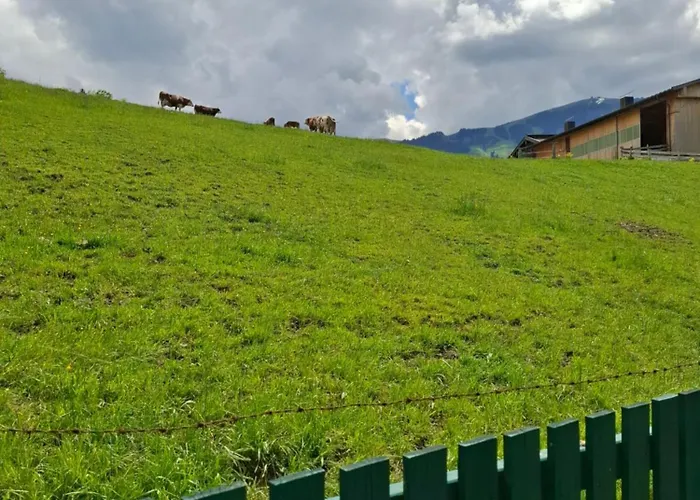 Appartamento Sonnenheim